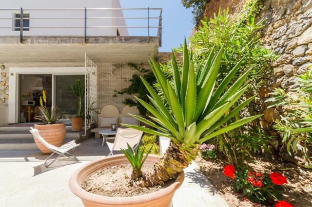 Crete Retreat - Nature & Comfort Await Ierapetra  Exterior photo